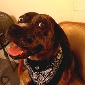 Meet your Posher, Ryanmisty